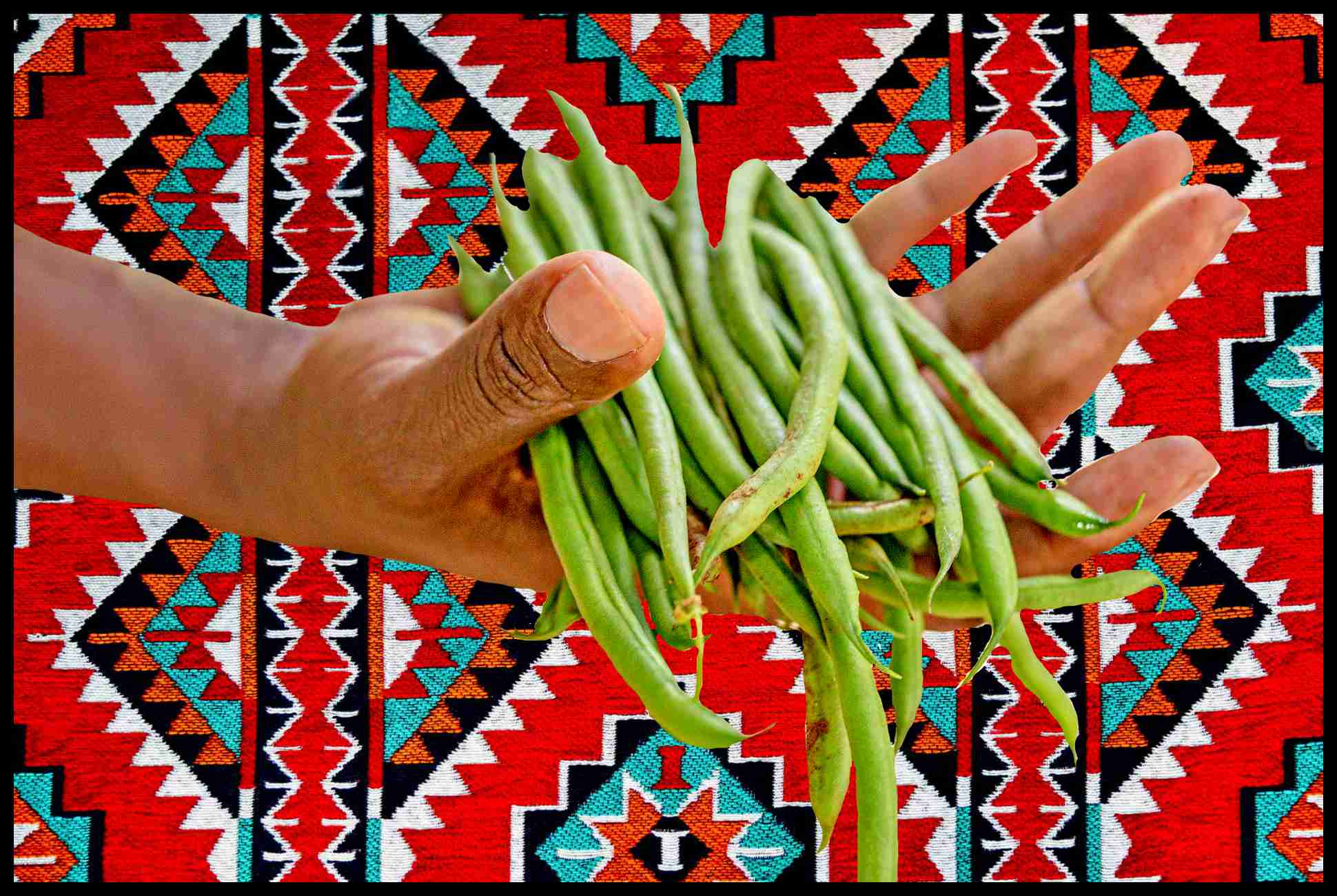 Vegetarian Green Beans; Tomato Sauce; Garlic; Onions; Parsley; My Mom's Recipe; Petra Dining; Culinary Delight; Plant-Based Gastronomy; Jordanian Vegetarian Cuisine; Fine Dining Petra; Savory Green Beans Dish; Top Petra Restaurant; Exquisite Vegetarian Green Beans; Petra Gastronomy; Best Green Beans in Tomato Sauce; Unique Culinary Experience; Petra's Vegetarian Specials; Premium Plant-Based Offering; Jordanian Culinary Gem; Green Beans Gastronomic Delight.